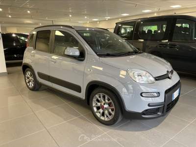 Fiat Panda  - panda 1.0 firefly s&s hybrid city life Grigio usata Torino