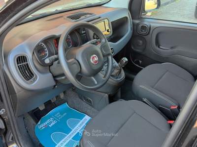 Fiat Panda 1.0 FireFly S&S Hybrid Nero usata Saonara
