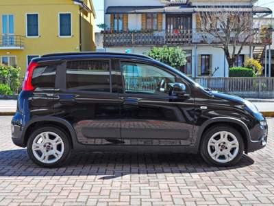 Fiat Panda 1.0 FireFly S&S Hybrid Nero usata Saonara