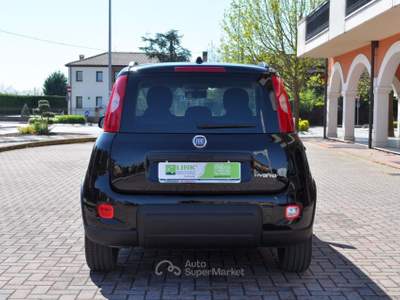 Fiat Panda 1.0 FireFly S&S Hybrid Nero usata Saonara