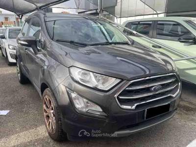 Ford EcoSport 1.0 EcoBoost 125 CV Start&Stop Titanium Grigio usata Pianezza
