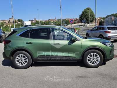 Ford Kuga FORD Kuga 2.5 Full Hybrid 180 CV CVT 2WD Active Verde usata Moncalieri
