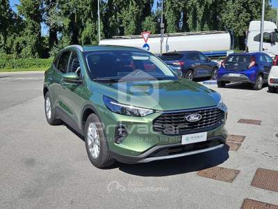 Ford Kuga FORD Kuga 2.5 Full Hybrid 180 CV CVT 2WD Active Verde usata Moncalieri