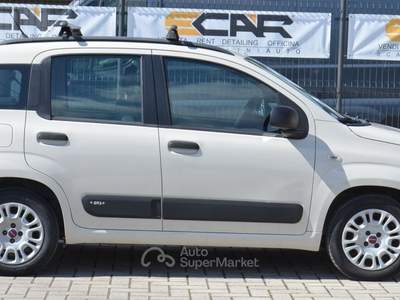 Fiat Panda Easy Beige usata Pisa
