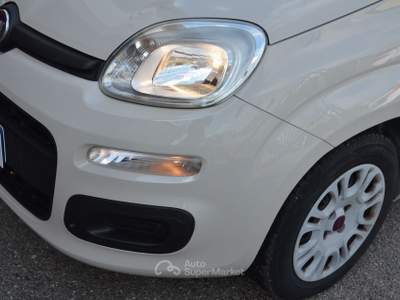 Fiat Panda Easy Beige usata Pisa