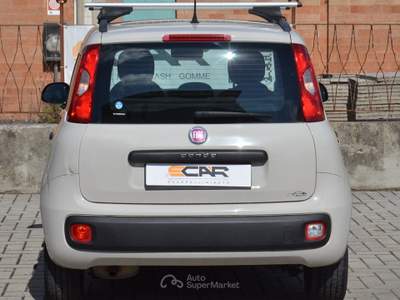 Fiat Panda Easy Beige usata Pisa