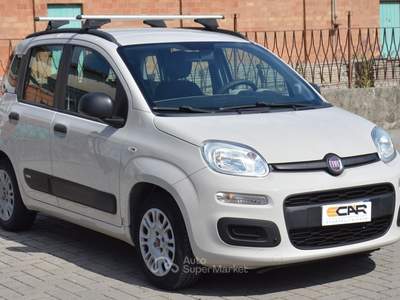 Fiat Panda Easy Beige usata Pisa