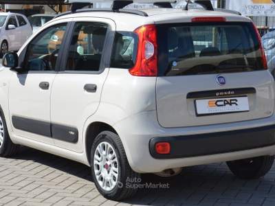 Fiat Panda Easy Beige usata Pisa
