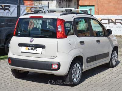 Fiat Panda Easy Beige usata Pisa