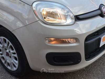 Fiat Panda Easy Beige usata Pisa
