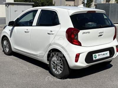 Kia Picanto KIA Picanto 1.0 12V 5 porte Urban Bianco usata QUINTO DI TREVISO