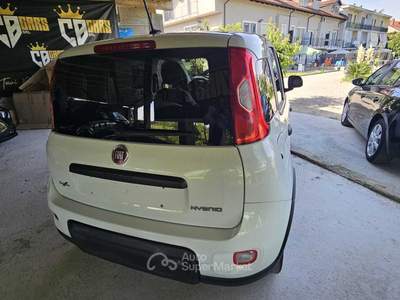 Fiat Panda Fiat Panda 1.0 FireFly S&S Hybrid Bianco usata Chivasso
