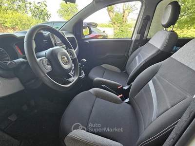 Fiat Panda Fiat Panda 1.0 FireFly S&S Hybrid Bianco usata Chivasso