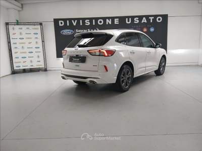 Ford Kuga 2.5 phev ST-Line X 2wd 225cv cvt Bianco usata Modena