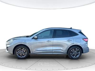 Ford Kuga Kuga 2.5 phev st-line 2wd 225cv cvt Argento usata Padova