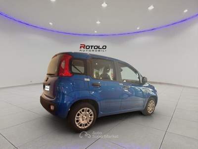 Fiat Pandina Pandina 1.0 FireFly 65 CV Hybrid Icon Blu/Azzurro usata Torino