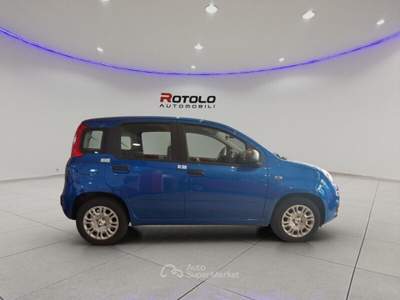 Fiat Pandina Pandina 1.0 FireFly 65 CV Hybrid Icon Blu/Azzurro usata Torino