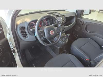 Fiat Panda Panda 1.0 FireFly S&S Hybrid Bianco usata San Giuliano Terme
