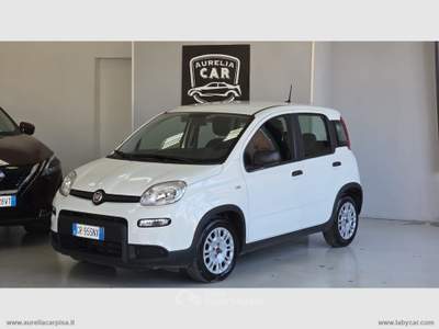 Fiat Panda Panda 1.0 FireFly S&S Hybrid Bianco usata San Giuliano Terme Fiat Panda Panda 1.0 FireFly S&S Hybrid Bianco usata San Giuliano Terme