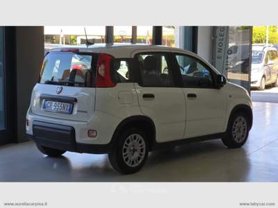 Fiat Panda Panda 1.0 FireFly S&S Hybrid Bianco usata San Giuliano Terme
