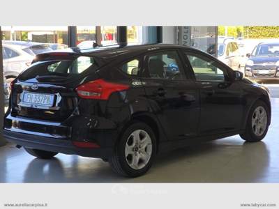 Ford Focus Focus 1.5 TDCi 95 CV S&S Business Nero usata San Giuliano Terme