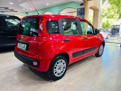 Fiat Panda 1.3 MJT 95 CV S&S Lounge Rosso usata Morano Calabro