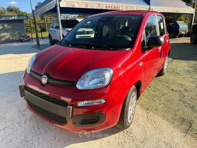 Fiat Panda 1.0 FireFly S&S Hybrid Icon Rosso usata Teano
