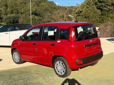 Fiat Panda 1.0 FireFly S&S Hybrid Icon Rosso usata Teano