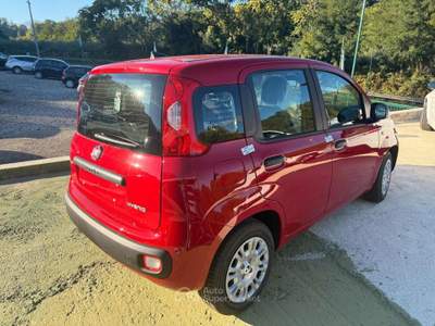 Fiat Panda 1.0 FireFly S&S Hybrid Icon Rosso usata Teano