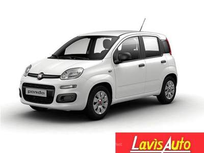 Fiat Panda 1.2 Easy Bianco usata Lavis