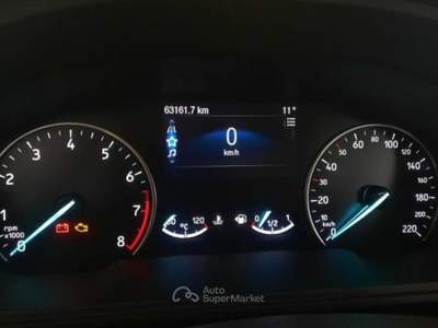 Ford EcoSport 1.0 EcoBoost Blu/Azzurro usata Piazzola sul Brenta