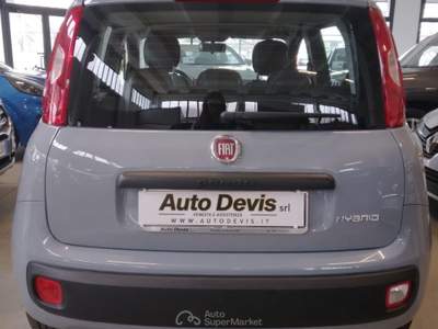 Fiat Panda 1.0 FireFly S&S Hybrid Grigio usata Piazzola sul Brenta