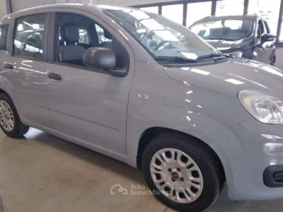 Fiat Panda 1.0 FireFly S&S Hybrid Grigio usata Piazzola sul Brenta