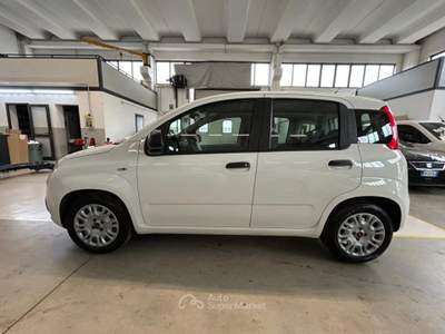 Fiat Panda 1.0 FireFly S&S Hybrid Bianco usata Piazzola sul Brenta