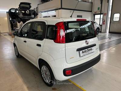 Fiat Panda 1.0 FireFly S&S Hybrid Bianco usata Piazzola sul Brenta