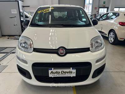 Fiat Panda 1.0 FireFly S&S Hybrid Bianco usata Piazzola sul Brenta