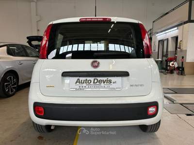 Fiat Panda 1.0 FireFly S&S Hybrid Bianco usata Piazzola sul Brenta