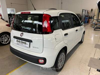 Fiat Panda 1.0 FireFly S&S Hybrid Bianco usata Piazzola sul Brenta