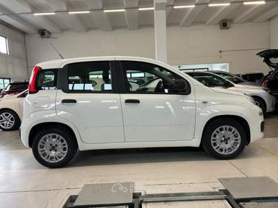Fiat Panda 1.0 FireFly S&S Hybrid Bianco usata Piazzola sul Brenta