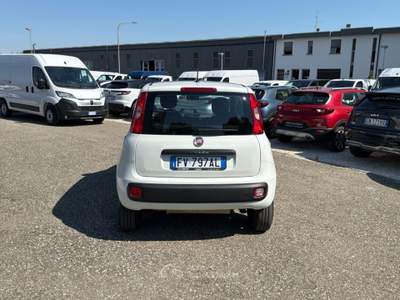 Fiat Panda 0.9 TwinAir Turbo Natural Power Easy Bianco usata Faenza