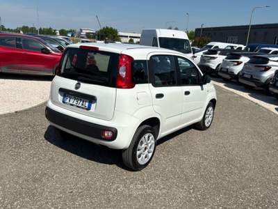 Fiat Panda 0.9 TwinAir Turbo Natural Power Easy Bianco usata Faenza