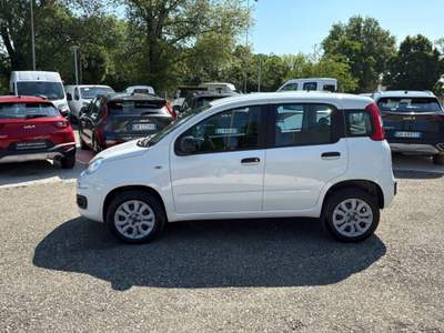 Fiat Panda 0.9 TwinAir Turbo Natural Power Easy Bianco usata Faenza