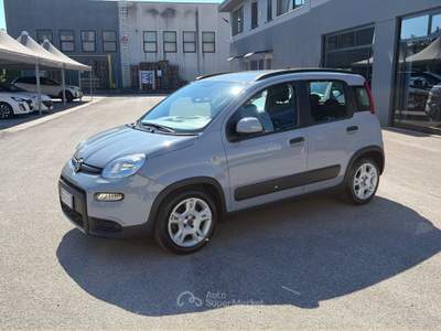 Fiat Panda 1.0 FireFly 70cv S&S Hybrid City Life Grigio usata Alonte