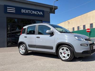 Fiat Panda 1.0 FireFly 70cv S&S Hybrid City Life Grigio usata Alonte