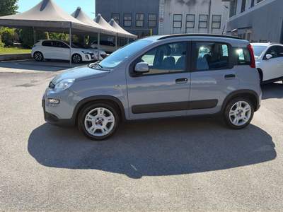Fiat Panda 1.0 FireFly 70cv S&S Hybrid City Life Grigio usata Alonte