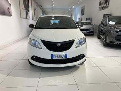 Lancia Ypsilon 1.2 69cv 5 porte GPL Ecochic elefantino blu Bianco usata Fornovo di Taro