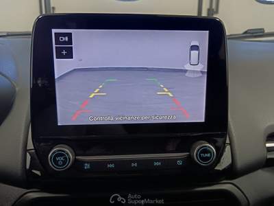 Ford EcoSport Titanium OK NEOPATENTATI Grigio usata Giugliano in Campania