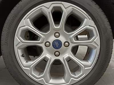 Ford EcoSport Titanium OK NEOPATENTATI Grigio usata Giugliano in Campania