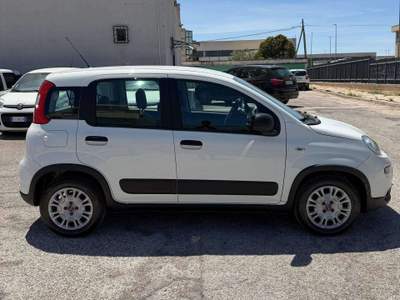 Fiat Panda VAN 1.0 HYBRID 4 POSTI STREET - 2022 Bianco usata Corato