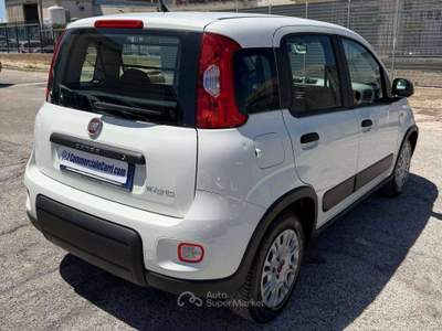 Fiat Panda VAN 1.0 HYBRID 4 POSTI STREET - 2022 Bianco usata Corato